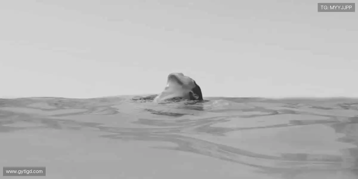 💻 零时差直播，与全球球迷同频热血！